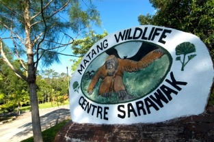matang-wildlife-centre-09